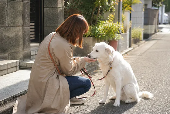 ドッグトレーナーの大友茜がご自宅前で犬と向き合っている