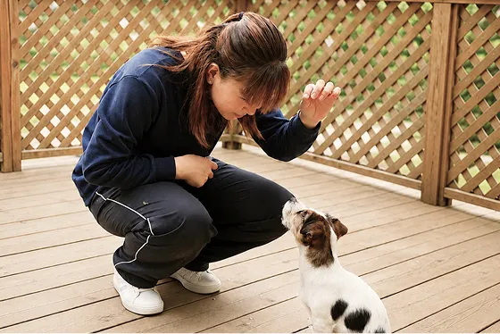 ドッグトレーナーの大友茜がウッドデッキの上で子犬のトレーニングをしている