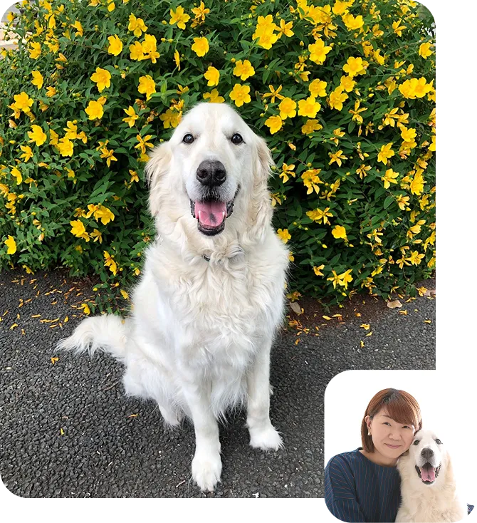 Dog training Wanpportのトレーナー大友茜と飼い犬のプロフィール写真